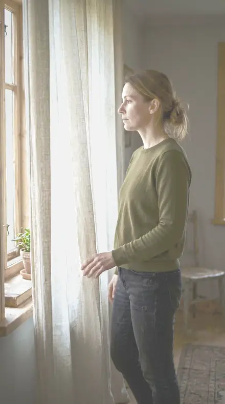 Fine Skin applied to Curtain light, kept clean
